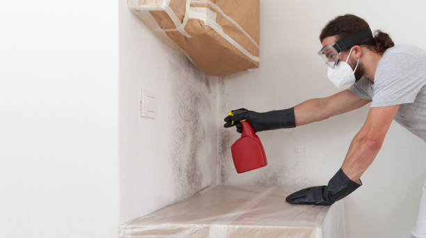 Professional Crawl Space Mold Removal technician working in Gallitzin, PA